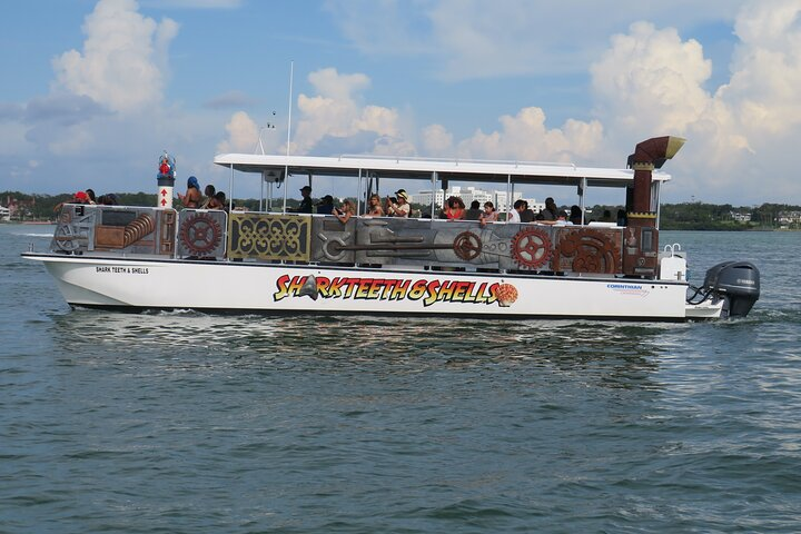 Shark Teeth and Shells, Dolphin and Shelling Tour Boat Clearwater Beach  - Photo 1 of 17